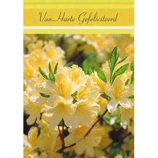 Marant Cards Hartelijk Gefeliciteerd  - Bloesem