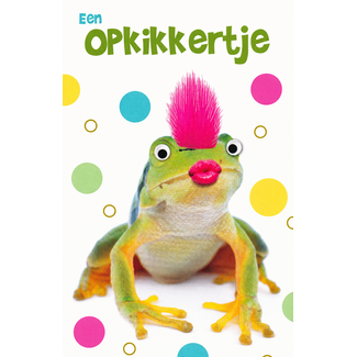 Belgian  Greetings Beterschapskaart – Een opkikkertje