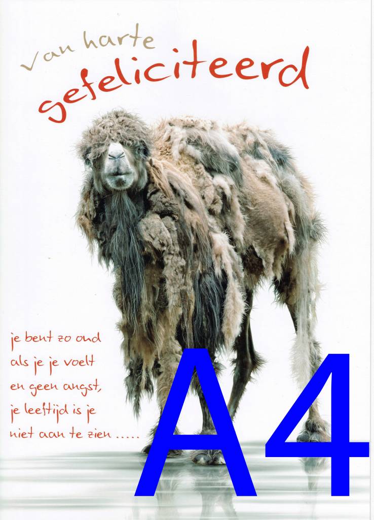 Wenskaarten (A4-formaat)