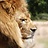 Dierentuin