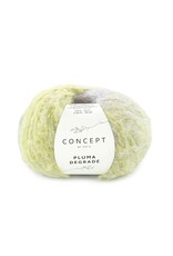 Katia Concept Pluma Dégradé (-30%)