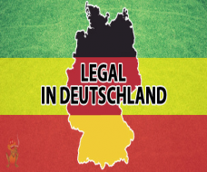 Banner 3 text
