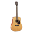 Cort Earth 100 Natural Satin westerngitaar