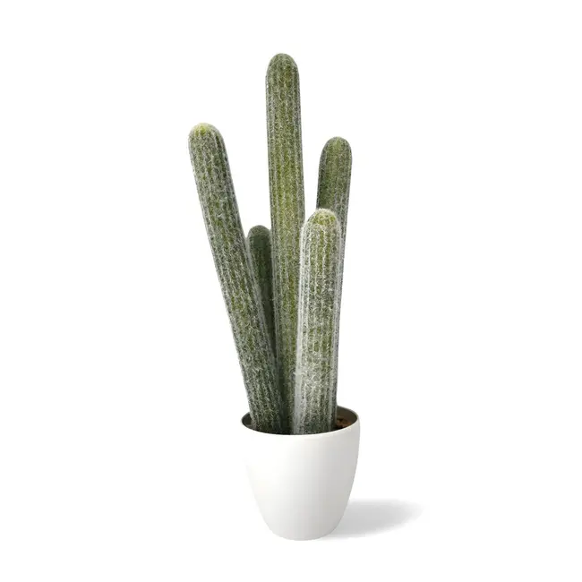 Nep Cactus Groot 54 cm