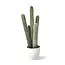 Dulaire Nep Cactus Groot 54 cm