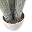 Nep Cactus Groot 54 cm