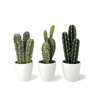 Dulaire Kunst Cactus Klein 3 st. 26 cm