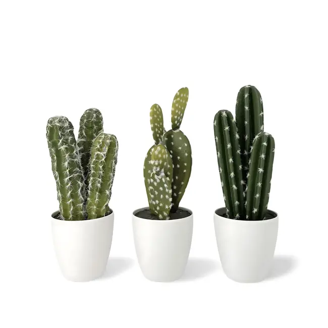 Kunst Cactus Klein 3 st. 26 cm