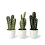 Dulaire Kunst Cactus Klein 3 st. 26 cm