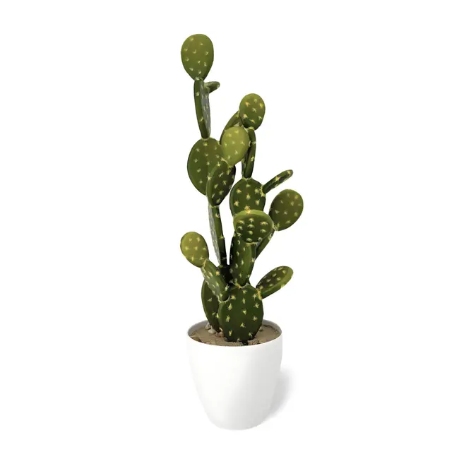 Grote Kunstplant Cactus 53 cm