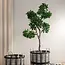 Ficus Boom Kunstplant In Pot 120 cm