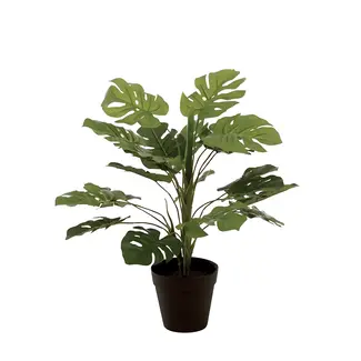 Dulaire Kunst Philodendron In Pot 52 cm