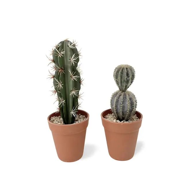 Kunst Cactus In Pot 2 st. - 26.5 cm