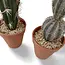 Kunst Cactus In Pot 2 st. - 26.5 cm