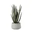 Dulaire Aloe Vera Kunstplant in Pot 36 cm