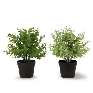 Dulaire Kunstplant Vetplant In Pot 2 st. - 25 cm