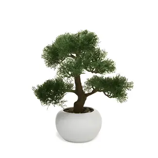 Dulaire Kunst Bonsai Boompje 33 cm - B