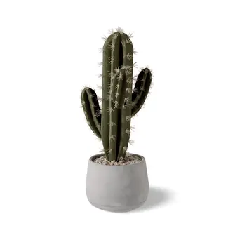 Dulaire Kunst Cactus Groot 46 cm