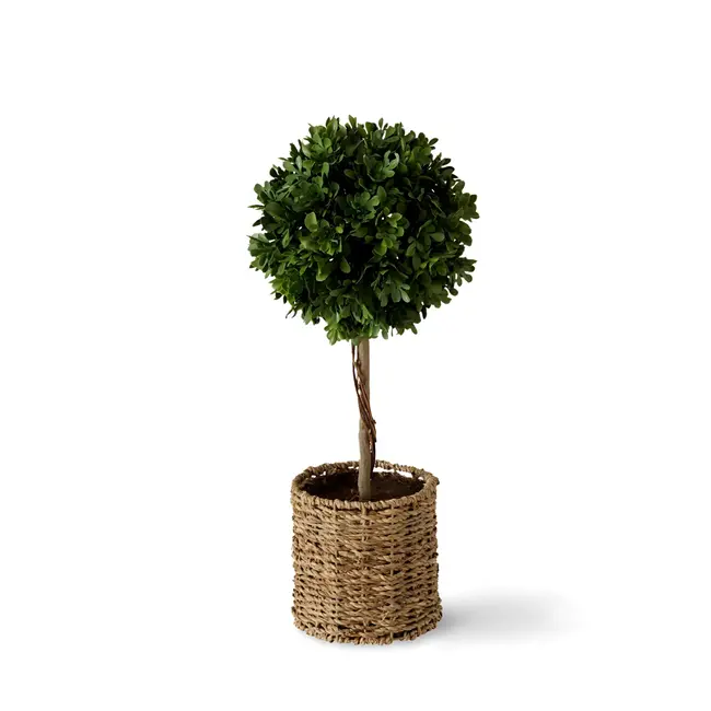 Kunstplant Buxus In Pot