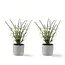 Dulaire Kunstplant Lavendel In Pot 2 st. 28 cm