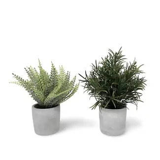 Dulaire Kunstplant In Pot 2 st. - 23 cm