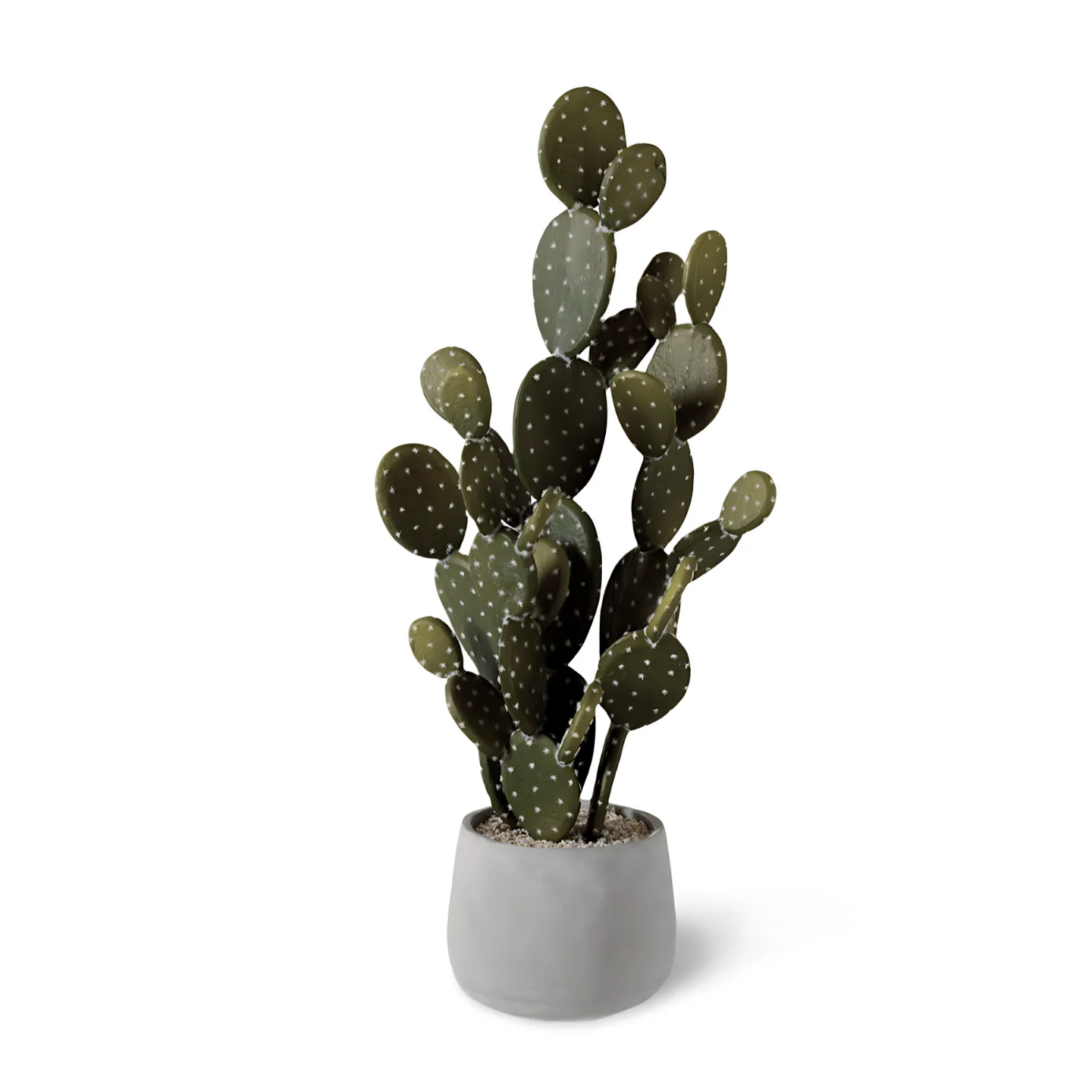 Luxe kunst cactussen