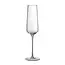 Luxe Champagneglas Flute set van 6