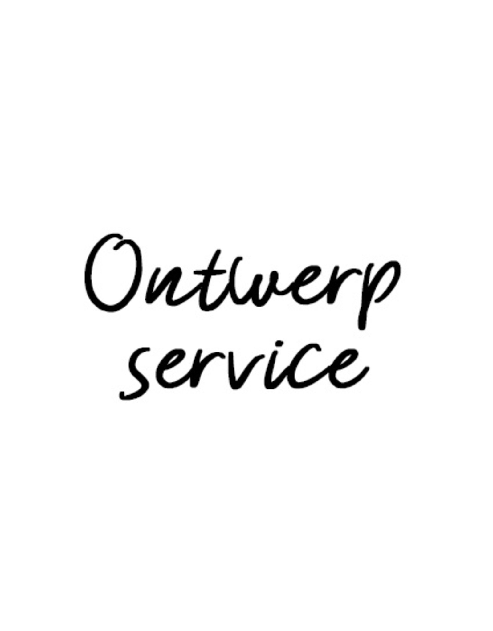 Ontwerp service