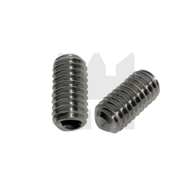 Stelschroef - DIN 916 RVS - M 4 x 6 - 25 stuks