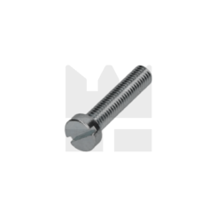 Cilinderkopschroef DIN 84 - RVS - M 1,2 x 6 - 10 stuks