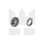 AS300 - Zeskantmoer DIN 934 RVS + Sluitring DIN 125 RVS