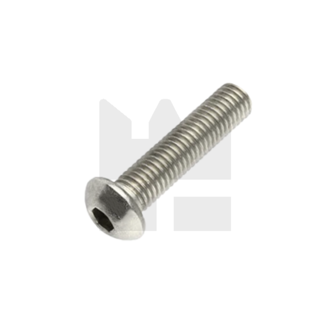 Assortiment - AS160 - BZK - Laagbolkopschroef - RVS A2