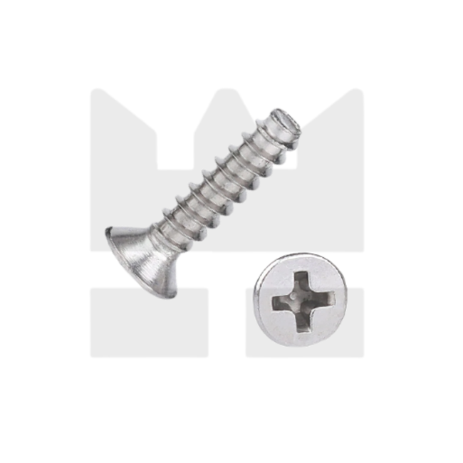 Plaatschroef voor kunststof 2 x 10 mm - Verzonken kop - RVS -  50 stuks