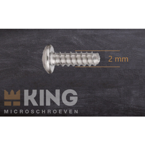KING Microschroeven Plaatschroef voor kunststof 2 x 6 mm - RVS -  50 stuks