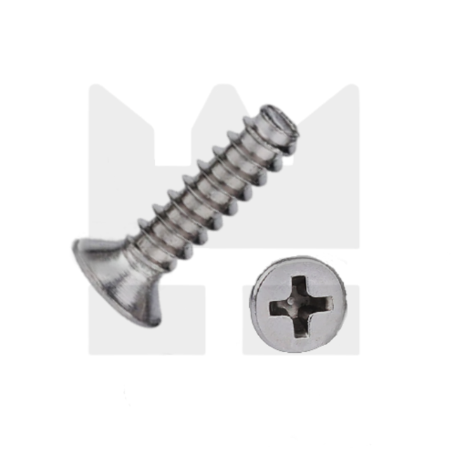 Plaatschroef voor kunststof 3 x 10 mm - Verzonken kop - RVS -  50 stuks