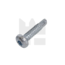 Zelfborende plaatschroef - 2,9 x 16 mm - TORX - Bolkop - staal verzinkt - 25 stuks