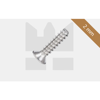 Verzonken kop - RVS - 2 mm