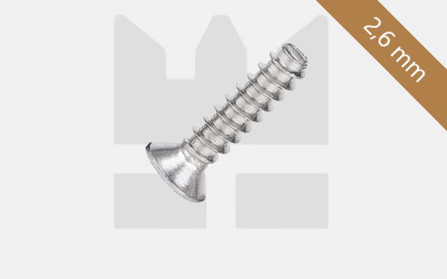 Plaatschroef voor kunststof 2,6 mm - verzonken kop - RVS