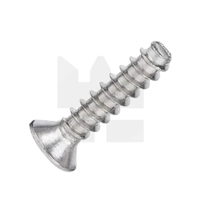 Plaatschroef voor kunststof 3 x 10 mm - Verzonken kop - RVS -  50 stuks