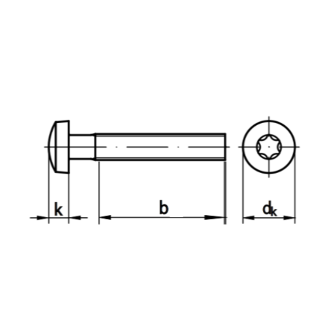 Bolkopschroef Torx - M1,6 x 10 - DIN 7985 - RVS - 50 stuks