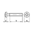 Bolkopschroef Torx - M1,6 x 12 - DIN 7985 - RVS - 50 stuks