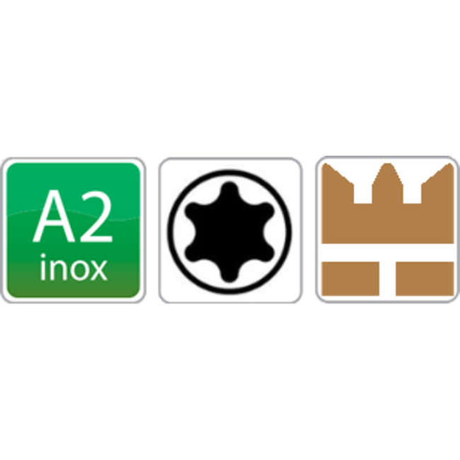 Bolkopschroef Torx - M1,6 x 12 - DIN 7985 - RVS - 50 stuks