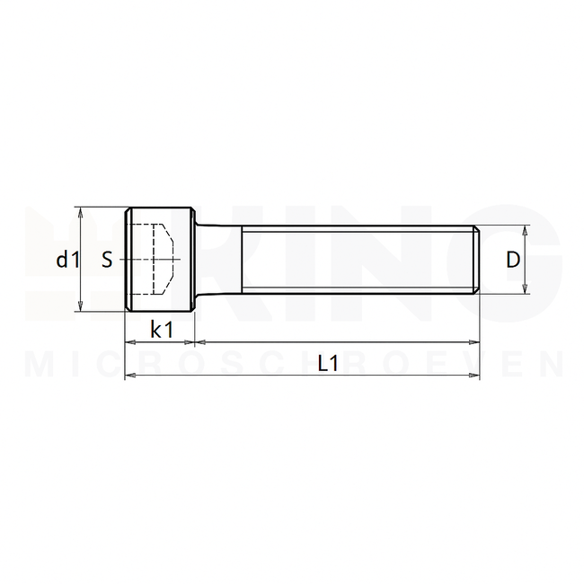 BZK Inbusschroef - M 3 x 45 - RVS A2 - DIN 912 - 25 stuks