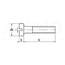 Cilinderkopschroef | M2 x 4 - DIN 84 gedraaid - Messing - 10 stuks