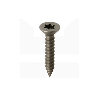 Plaatschroef RVS Torx - ISO 14586