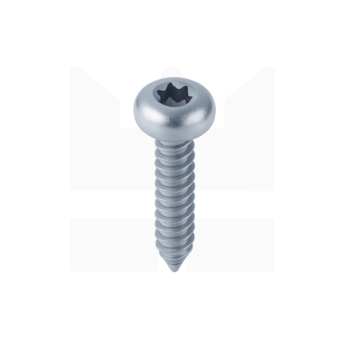 Plaatschroef Staal verzinkt | TORX