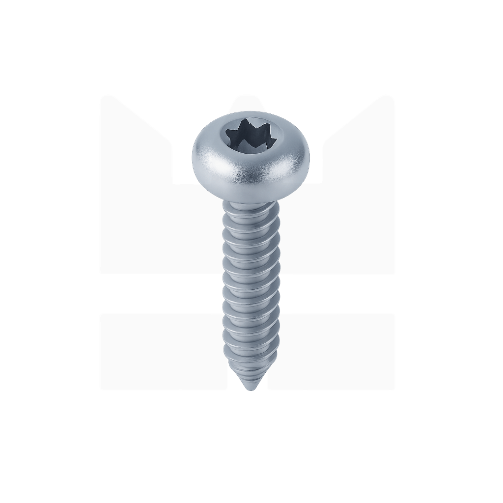 Plaatschroeven DIN 7981 – Bolkop + Torx – Staal Verzinkt (Ø 2,2 & 2,9 mm)