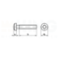 Bolkopschroef Torx - M3 x 6 - DIN 7985 - RVS - 50 stuks