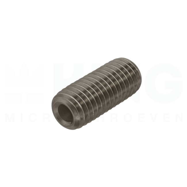 Stelschroef - DIN 916 RVS - M 2 x 3 - 25 stuks