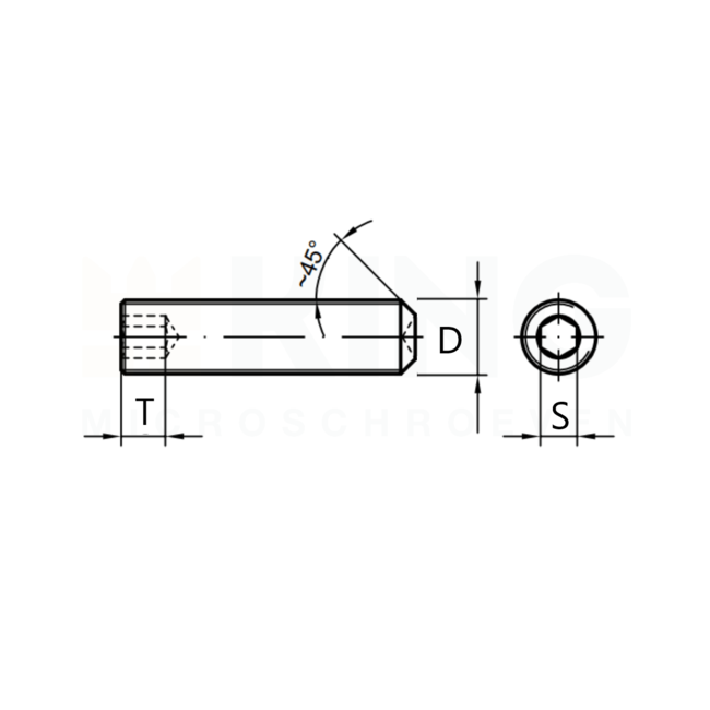 Stelschroef - DIN 916 RVS - M 2,5 x 10 - 25 stuks